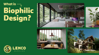 what is biophilic design
